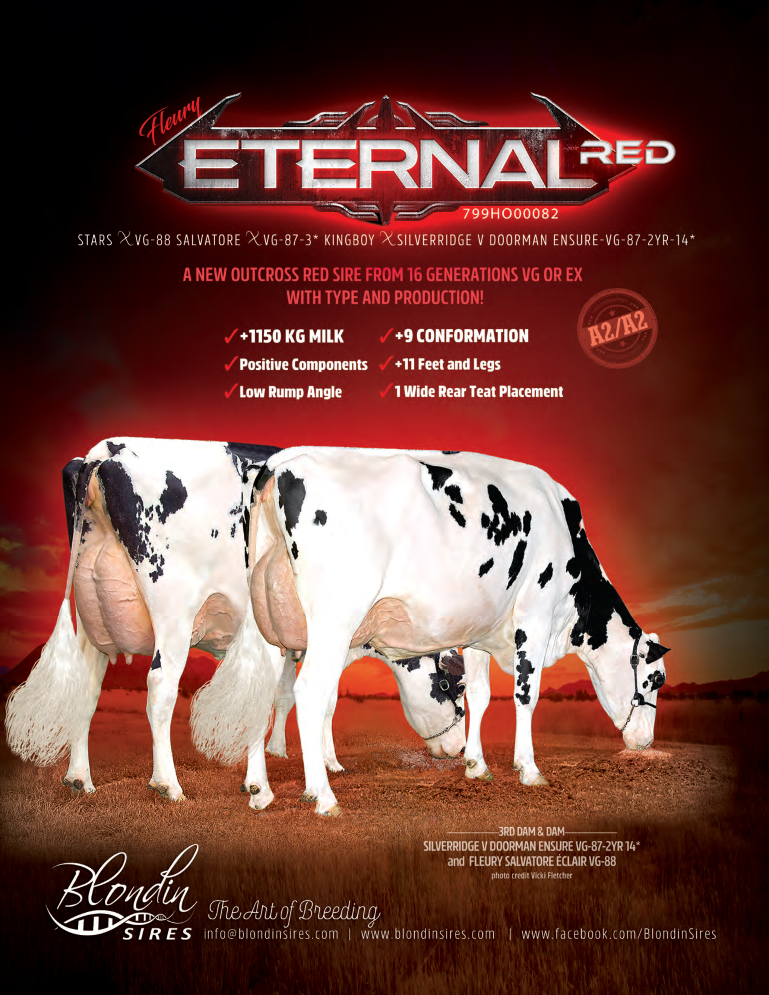 ETERNAL — 799HO00082